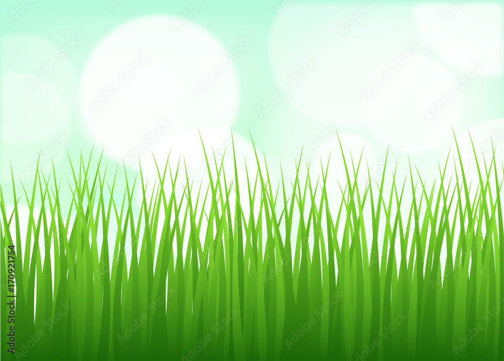 Grassline Background