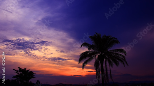 coconut tree silhouette tropical colorful sky at sunset beautiful background with copy space add text