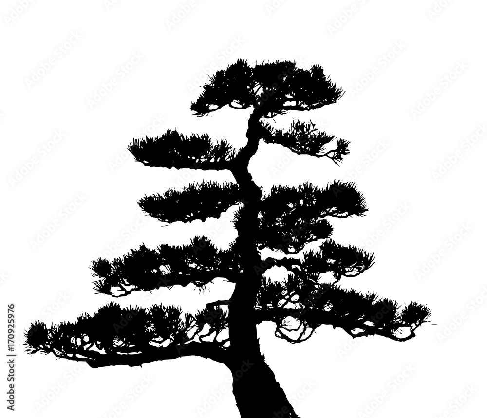 pine tree silhouette