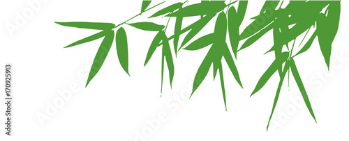 bamboo leaves silhouette