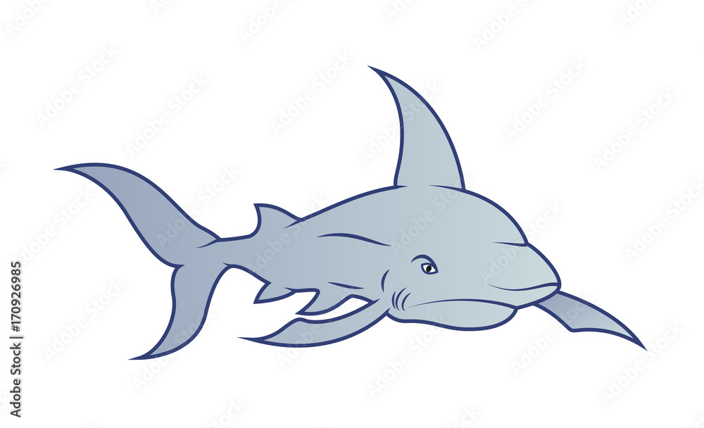 Obraz premium Shark Fish Vector