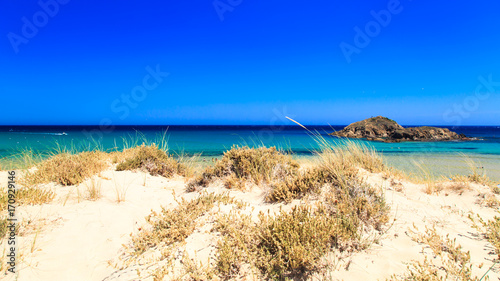 The beach of Chia su Giudeu, Sardinia photo