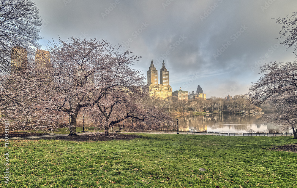 Obraz premium Central Park, New York City spring