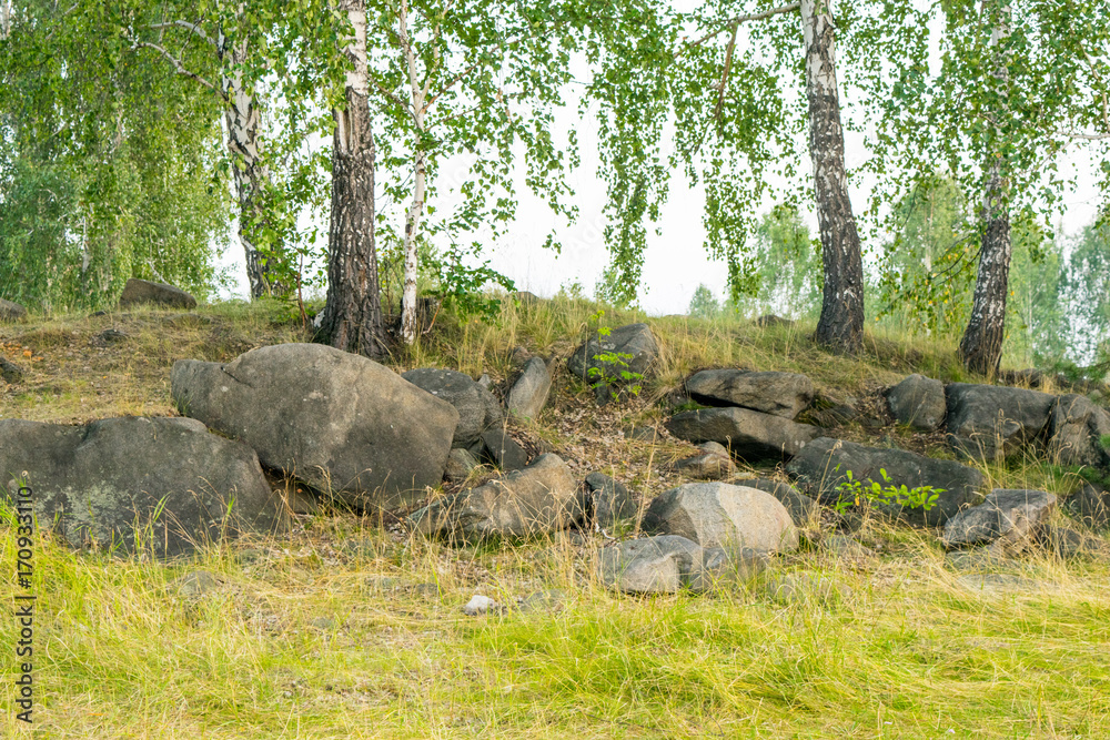 Natural Stones and rocks bulk in forest with birch, The Urals mountain, Russia, Chelyabinsk oblast