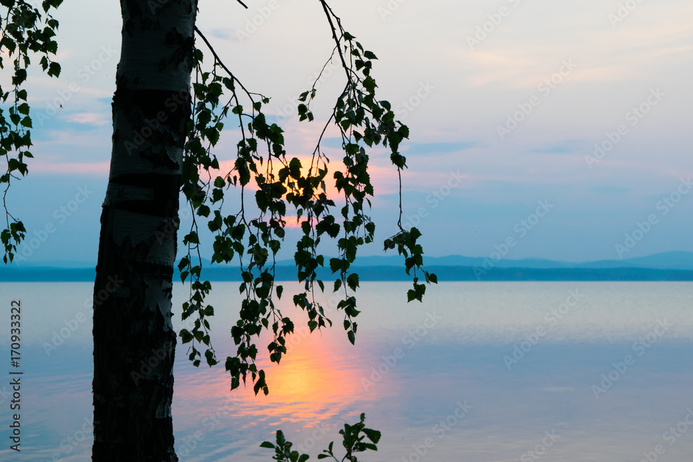 Silhouette of trees and leaves in the background rose Sunset at a lake Uveldy, The Urals, Russia