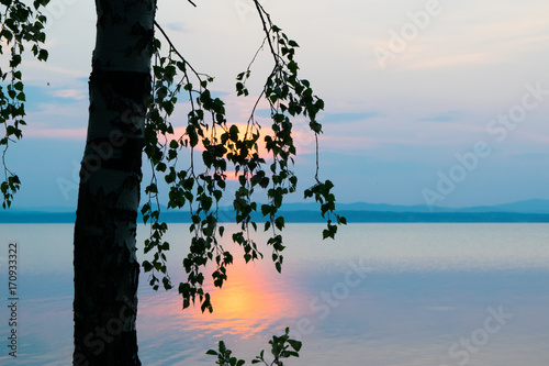 Obraz na płótnie Silhouette of trees and leaves in the background rose Sunset at a lake Uveldy, The Urals, Russia w salonie