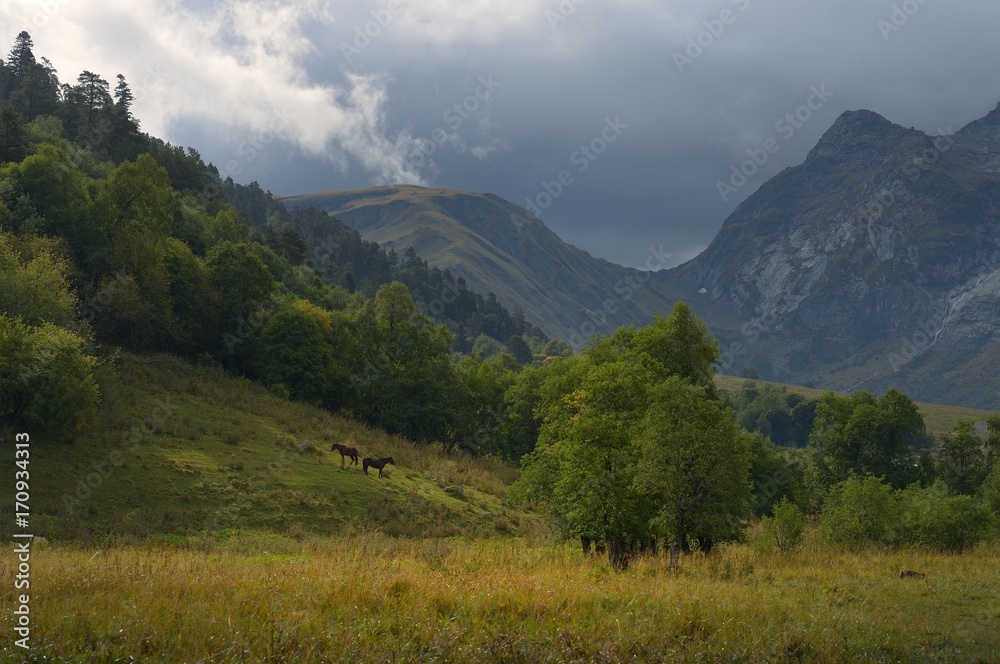 Fototapeta premium Somber Caucasus