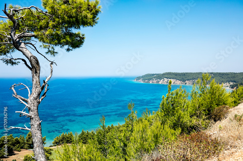 Landscape from Greece