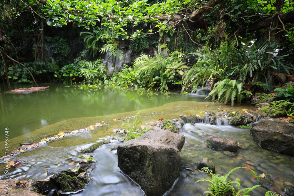 Waterfall in the garden. Waterfall in the garden.