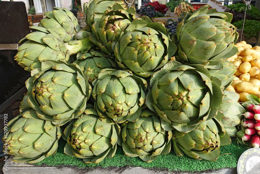 Obraz premium des artichauts