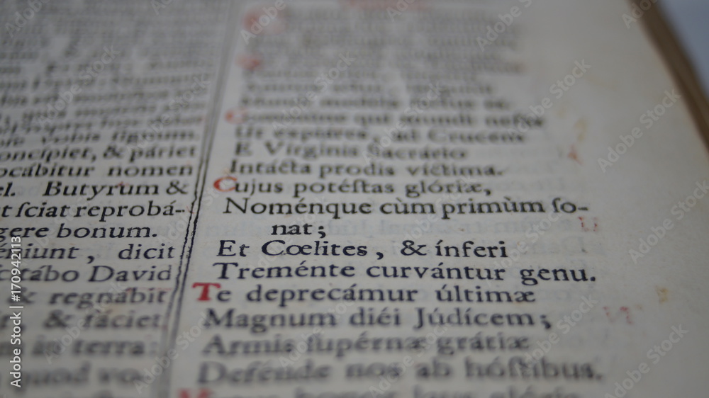 średniowieczna księga po łacinie - obrazy, fototapety, plakaty 