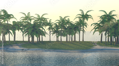 Coconut tree 3d illustration nature landscape in summer and holiday