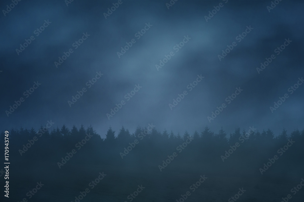 Fototapeta premium forest in the mountain at night