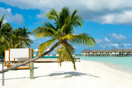 Chill lounge zone on the sandy beach, Maldives island