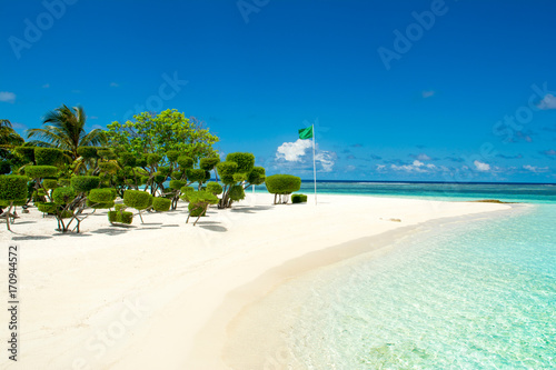 Fototapeta Naklejka Na Ścianę i Meble -  Beautiful tropical garden on the sandy shores of the Indian Ocean