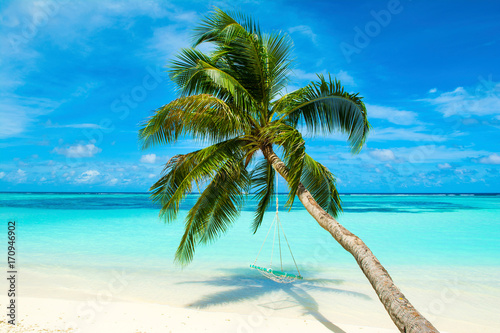 Fototapeta Naklejka Na Ścianę i Meble -  Tropical landscape with swings in the palm tree on the shores of Indian Ocean