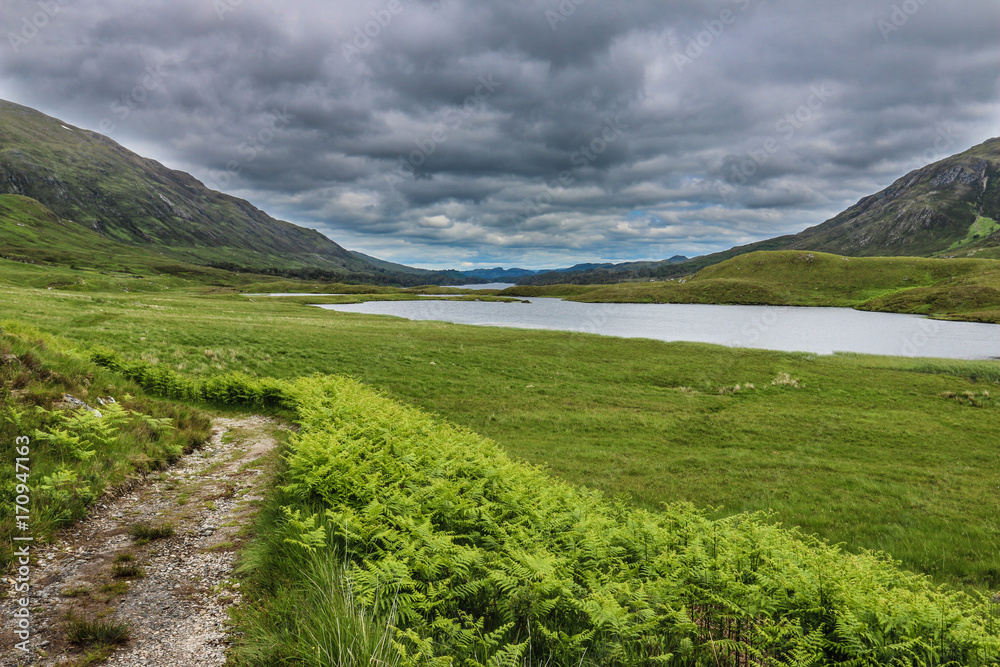 Naklejka premium Glen Affric - Cannih - Scotland