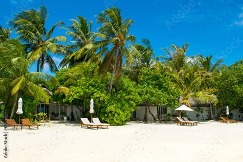 Beautiful sandy beach with sunbeds and umbrellas in Indian ocean  Maldives island