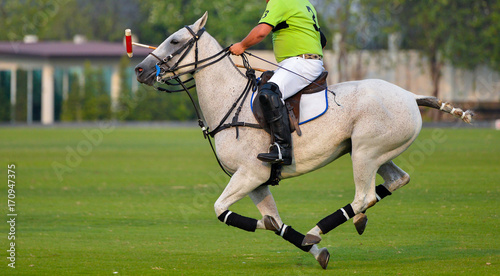 Horse polo player riding © Hola53