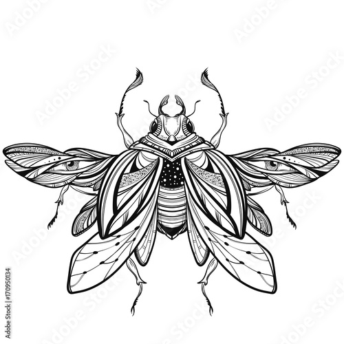 Beetle bug tattoo drawing. Scarab bug illustration