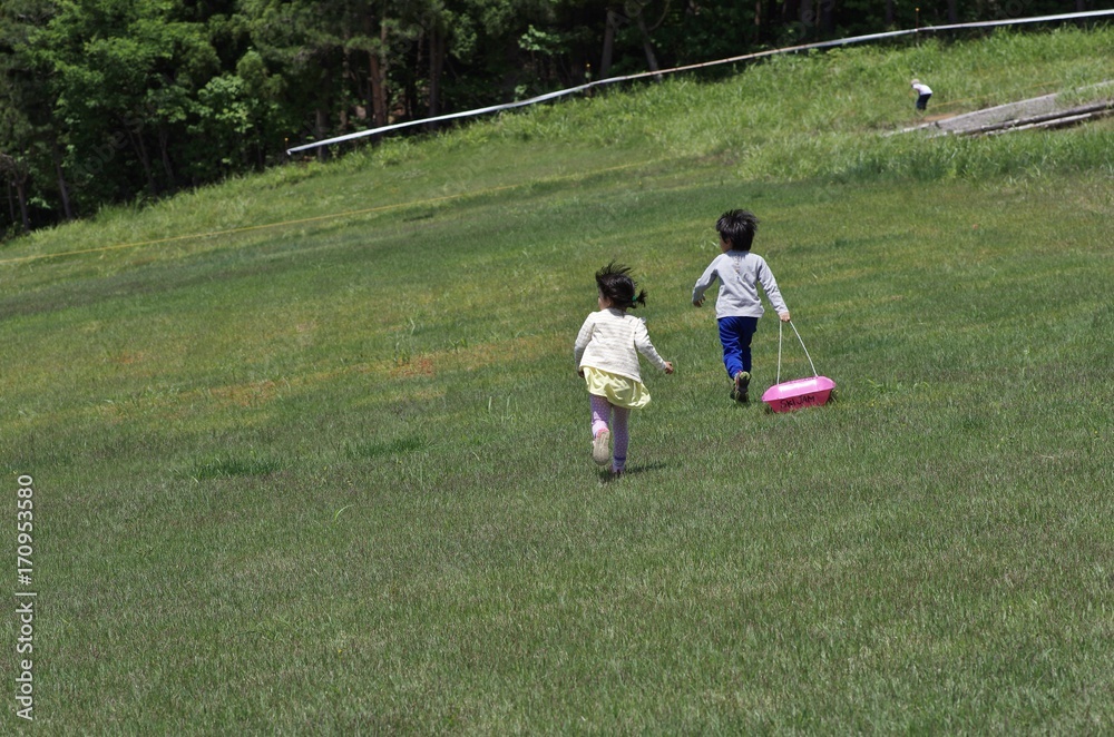 Fototapeta premium 夏の草原でそり遊びをする子供たち