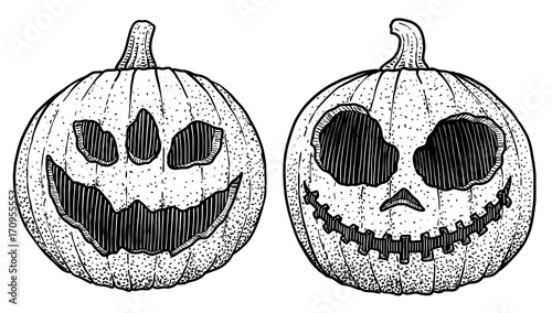 Halloween pumkin head illustration, drawing, engraving, ink, line art, vector