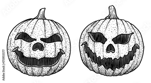 Halloween pumkin head illustration, drawing, engraving, ink, line art, vector