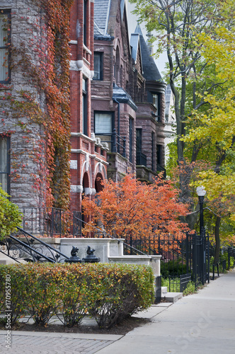 Autumn in the City.  Autumn colors in one of Chicago's many upscale neighborhoods.