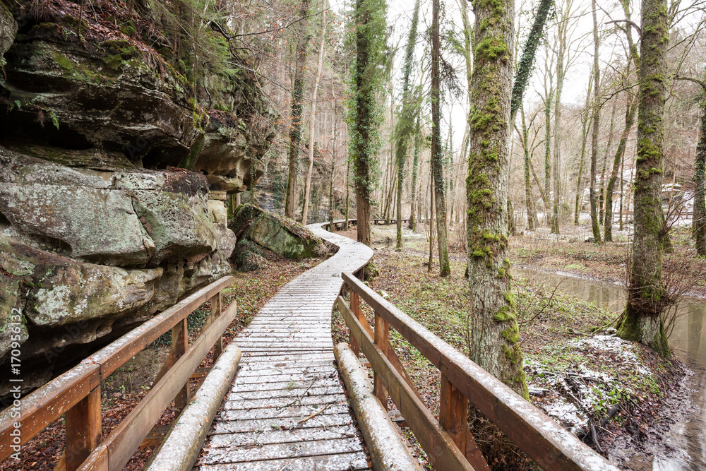 Obraz premium An wooden walkway