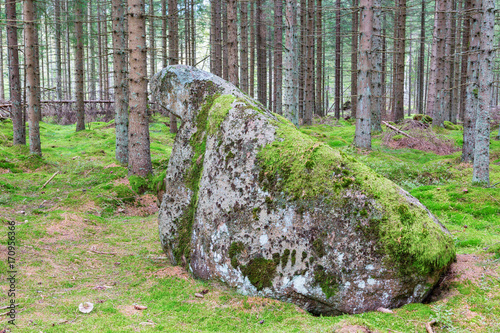 Huge boulders in the forest