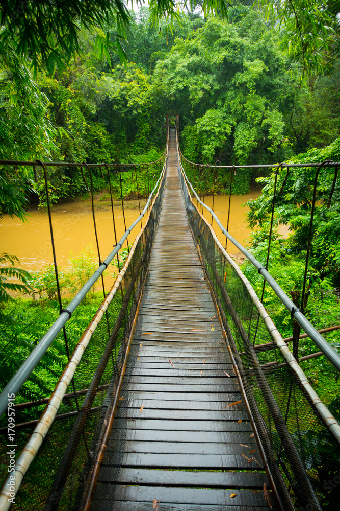 Vertical view of a suspension bridge in the jungle near Chiang Mai Vertical view of a suspension bridge in the jungle near Chiang Mai