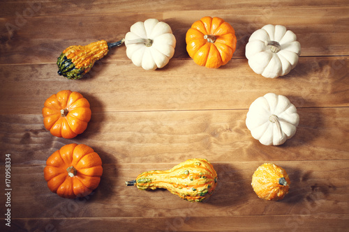 Autumn theme pumpkins on a rustic wooden background