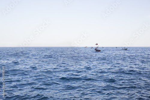 Barche camminano a largo nel mare aperto. L'acqua è blu e calma con poche onde. Anche le barche e i gommoni sono pochi.