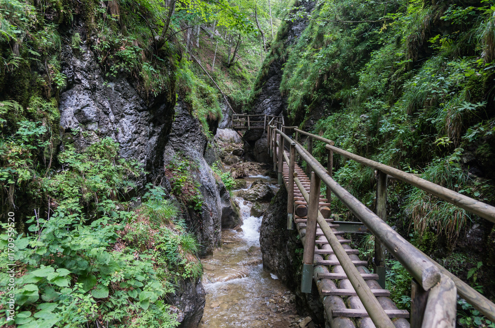 Wooden path running along the cliff and over the river gorge