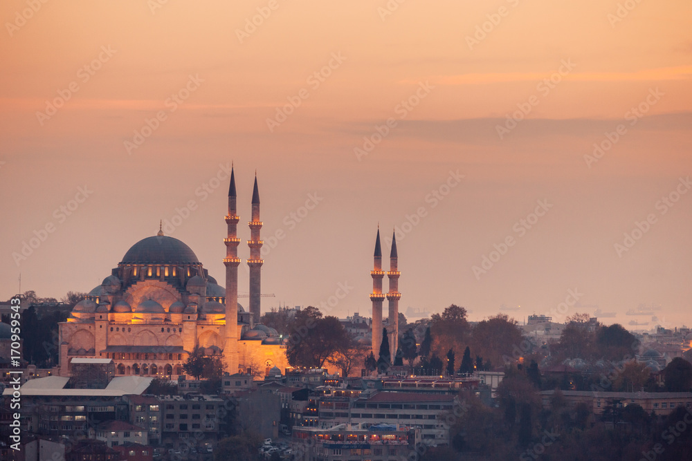 Obraz premium Istanbul, Turkey. Galata Tower and Suleymaniye Mosque at night.