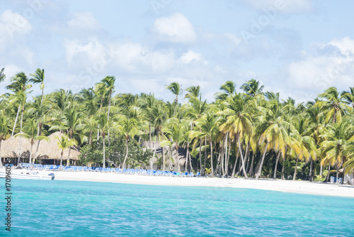 Fototapeta Naklejka Na Ścianę i Meble -  Caribbean sea with turquoise water and palms close to saona island