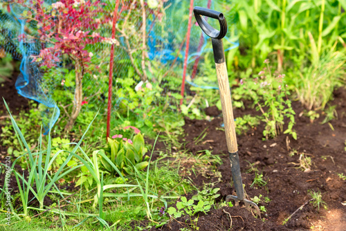 Garden fork standing in soil with vegetation in background.