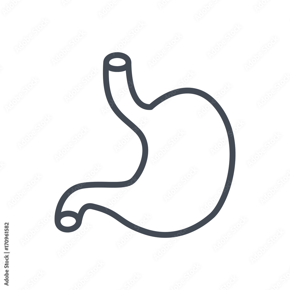 Human organs line icon stomach