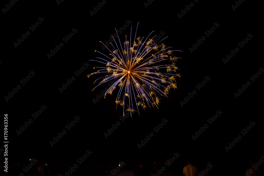 Fuochi d'artificio Fuochi d'artificio