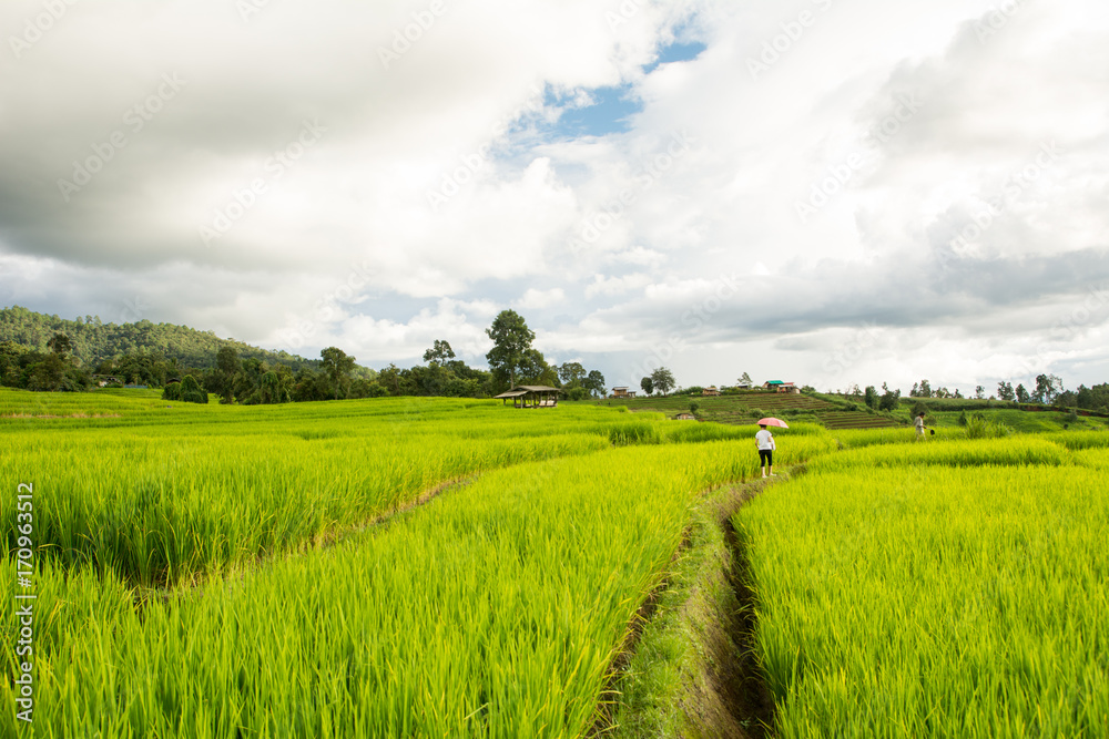 Fototapeta premium Asian woman relaxing in rice terraces on holiday