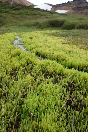 trek de landmannalaugar, islande photo