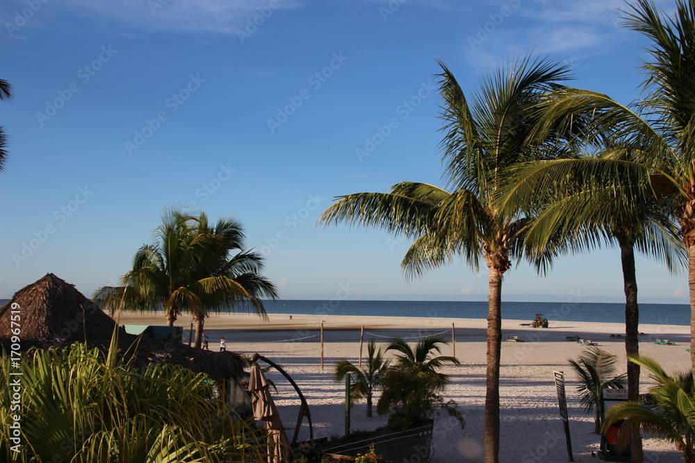 some palm trees at the tropical beach early in the morning