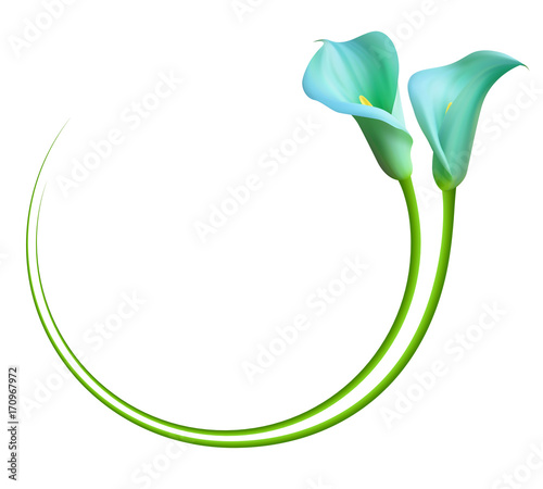 Fototapeta Naklejka Na Ścianę i Meble -  Realistic blue marlin calla lily frame, circle.