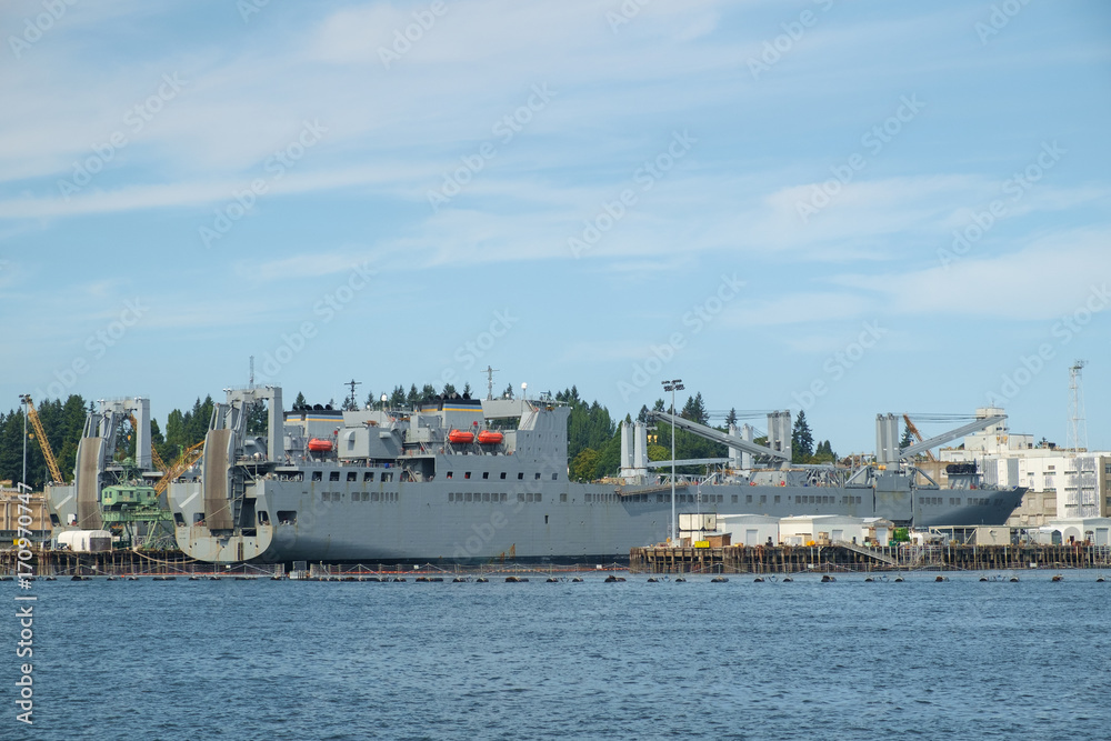 US Navy cargo ship