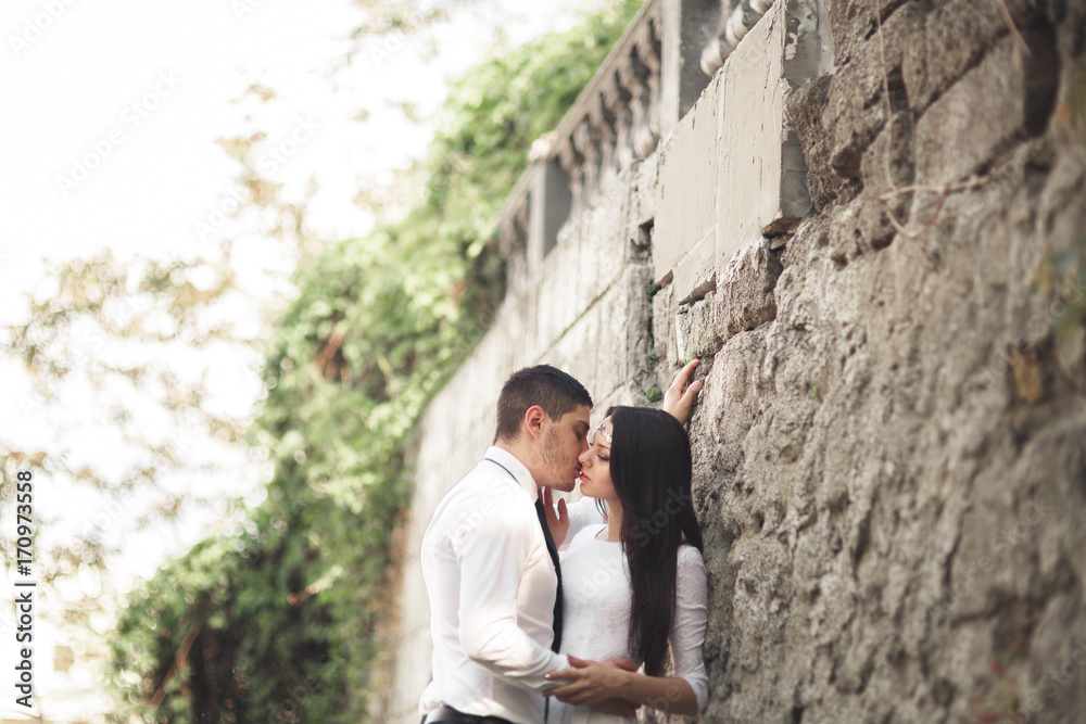 Gorgeous newlywed posing near beautiful wall of plants bushes trees in their wedding day Gorgeous newlywed posing near beautiful wall of plants bushes trees in their wedding day