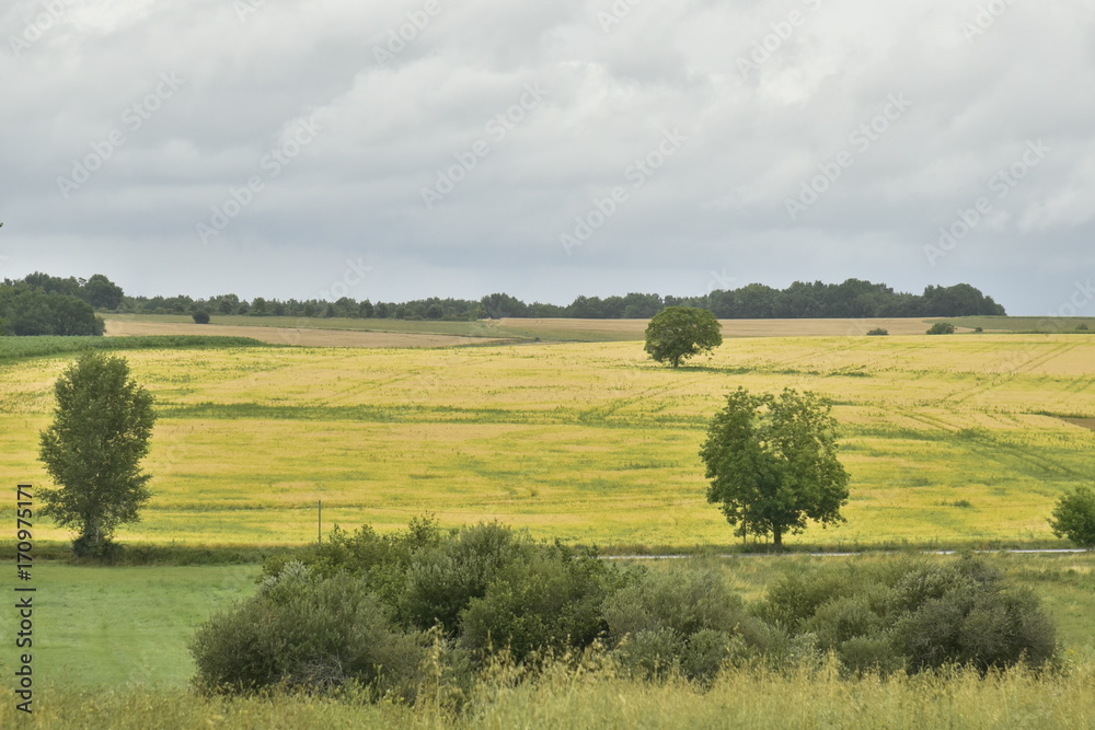 Vaste champs de blé après moisson par temps humide près de Fontaine, au Périgord Vert