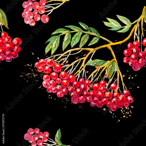 Beautiful hand drawn watercolor vector seamless black square background with red bright pictorial branch of Rowanberry