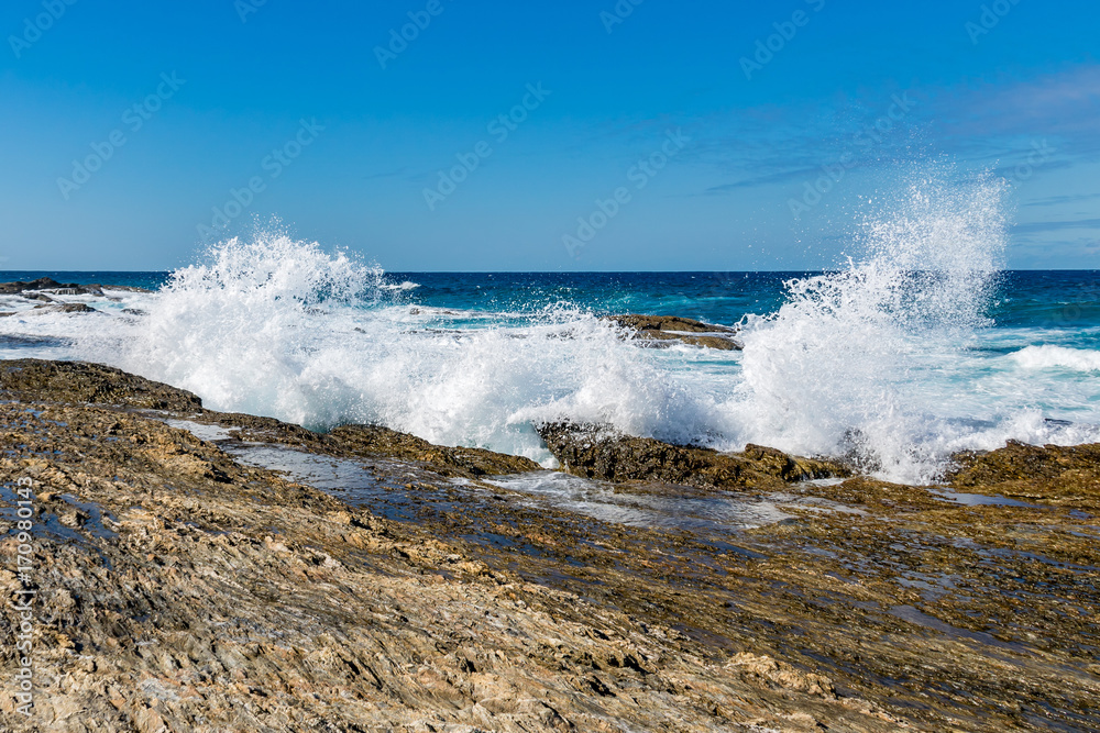 Splash Splash