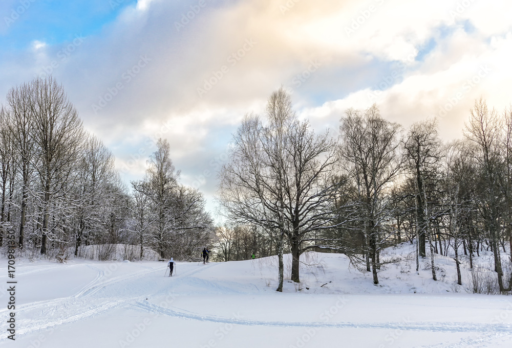 Skiers in a cold snowy winter landscape near Stockholm
