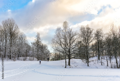 Skiers in a cold snowy winter landscape near Stockholm © Allan